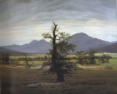 Caspar David Friedrich Landscape with Solitary Tree (mk10)